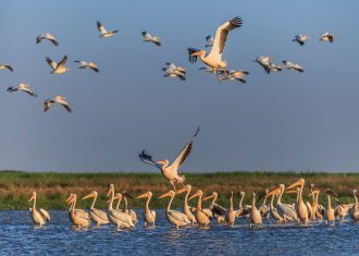 Naturwunder Donaudelta